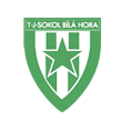  TJ Sokol Bílá Hora
